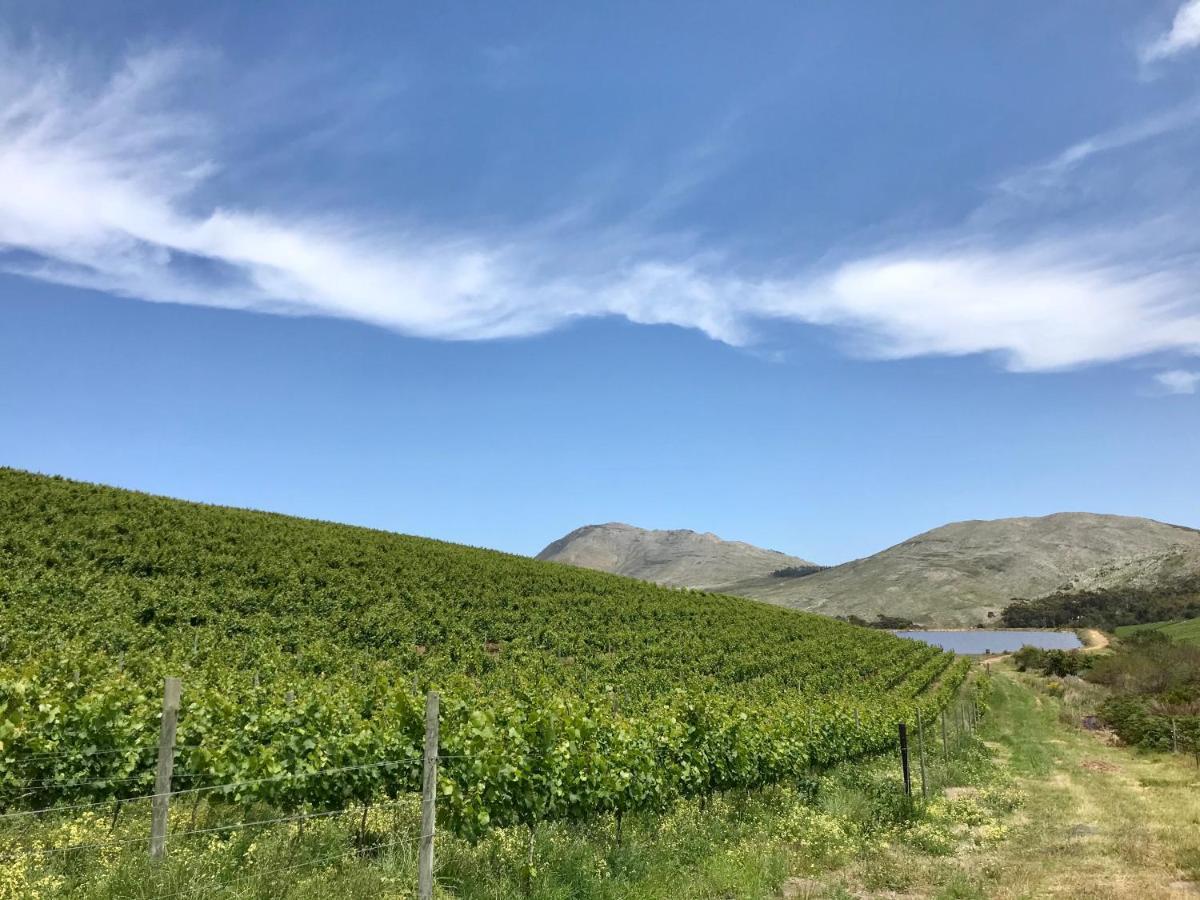 Kleine Vrede Farm Cottage Hermanus Eksteriør billede