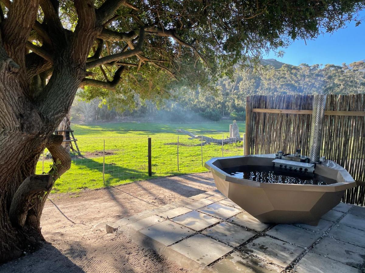 Kleine Vrede Farm Cottage Hermanus Eksteriør billede