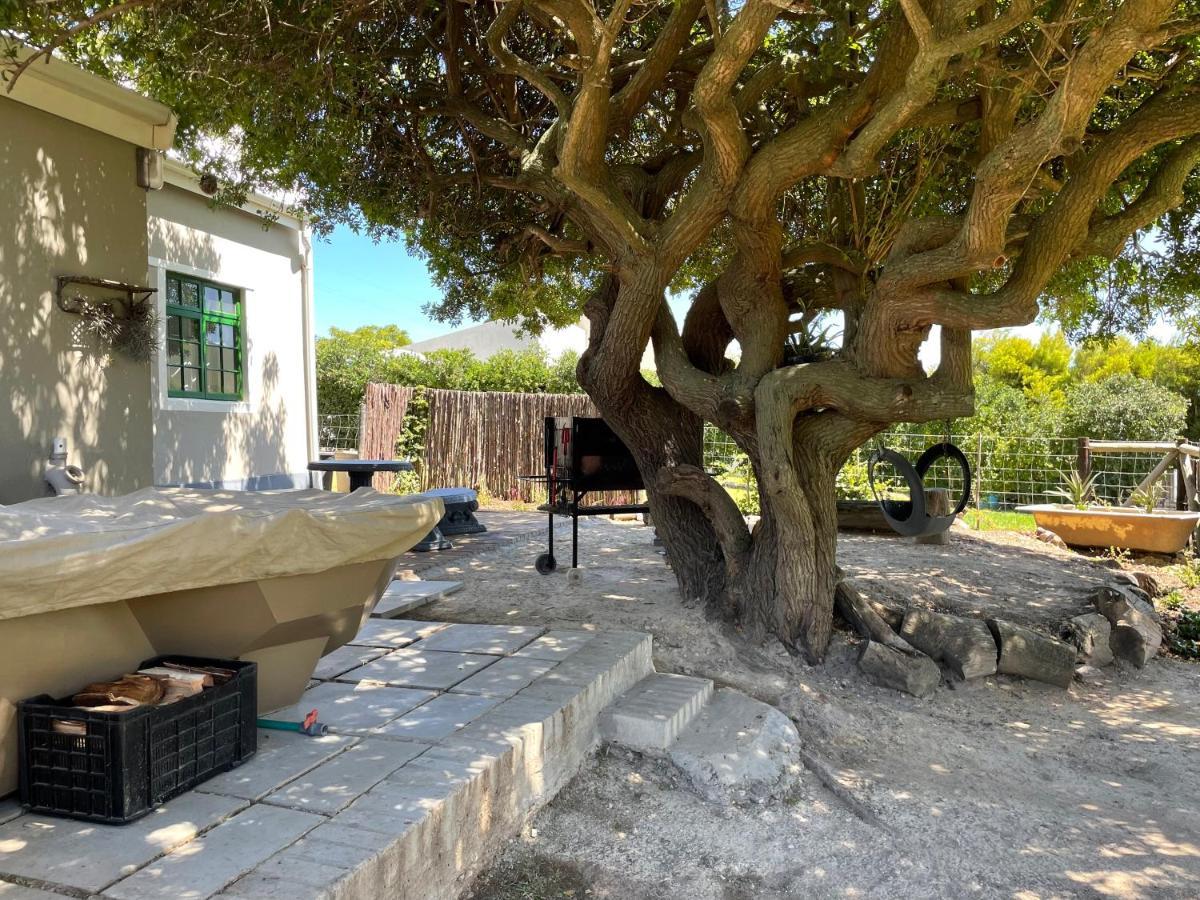 Kleine Vrede Farm Cottage Hermanus Eksteriør billede